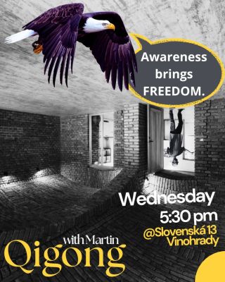 AWARENESS BRINGS FREEDOM. LETS TASTE SOME ON WEDNESDAY... A beautiful chance to explore this ancient Qigong practice...