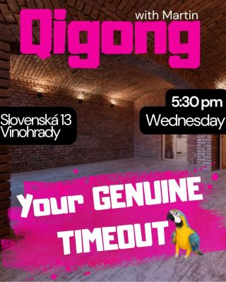 ✨ Discover deeper focus for FREE. ✨ Move with ease and intention. ✨ Use your energy wisely, efficiently, and with care....