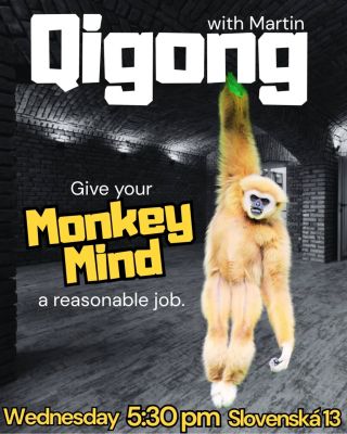 Does your monkey mind love to jump? Give it a job. Free Qigong • Vinohrady ✨ Discover deeper focus for FREE. ✨ Move with...